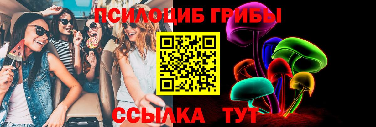 Псилоцибиновые грибы мицелий Кулебаки